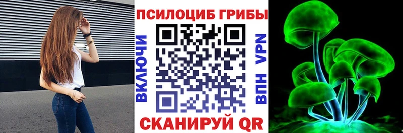 Галлюциногенные грибы Psilocybine cubensis  магазин  наркотиков  Волгоград 